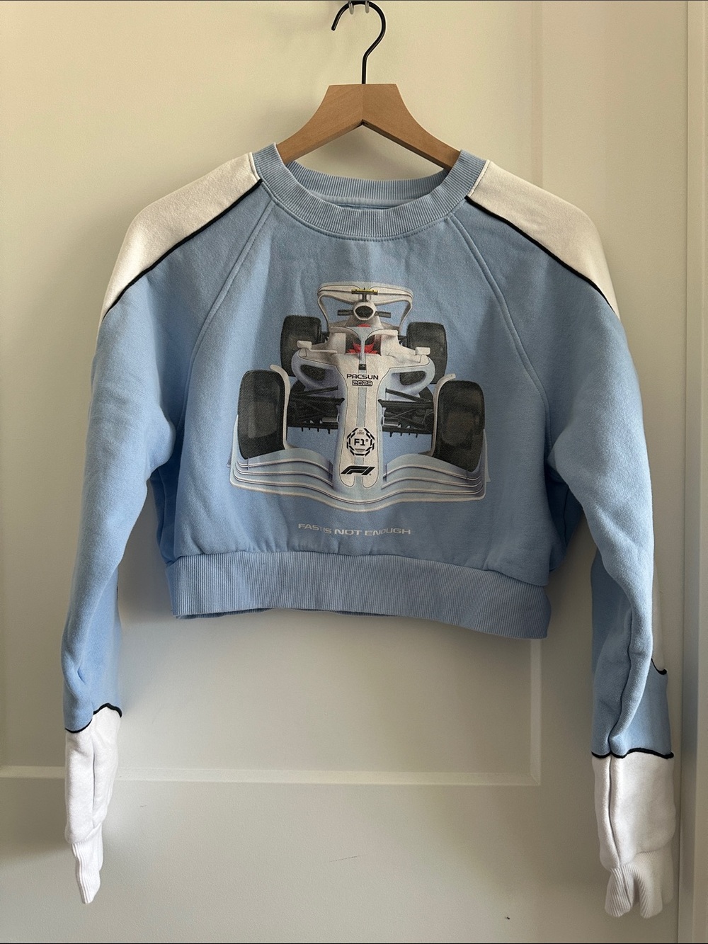 Pacsun Formula 1 cropped crewneck